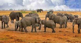 Hwange National Park