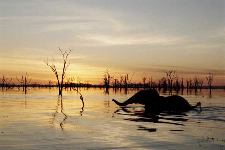 Lake Kariba