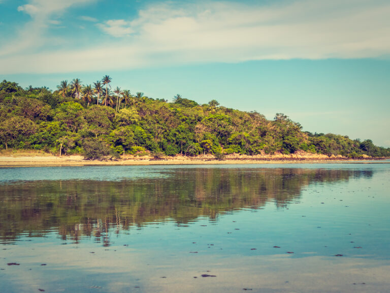 Beautiful tropical beach and sea with coconut palm tree